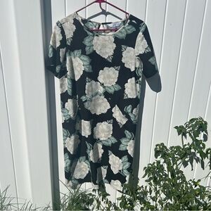 Downeast dress knee length shirt sleeve size small